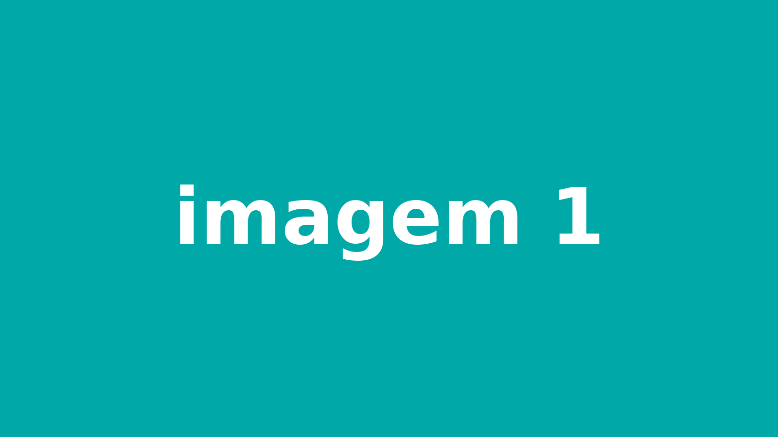 imagem_1